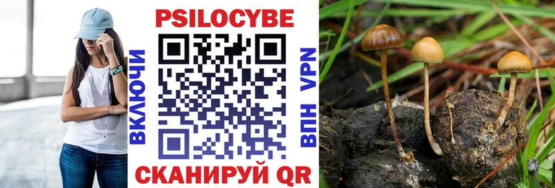 Галлюциногенные грибы Psilocybine cubensis Тихорецк